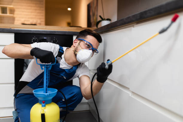 Trusted Riverview, MI Pest Control Experts