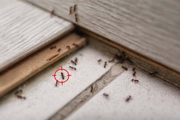 Pest Control for Restaurants in Riverview, MI