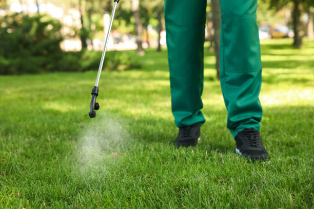 Best Rat Extermination Near Me  in Riverview, MI