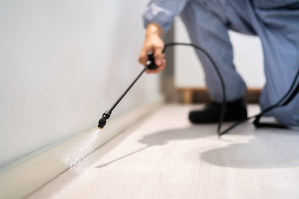 Reliable Riverview, MI Pest Control Solutions