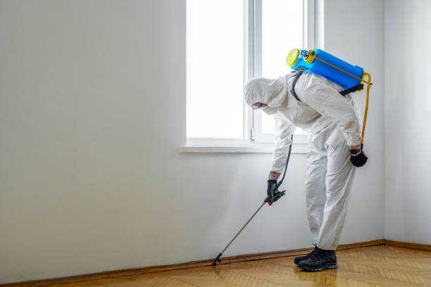Best Flea Control Services  in Riverview, MI