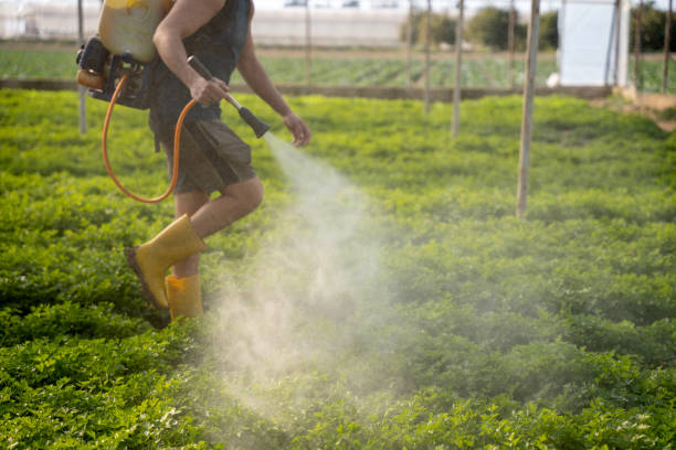 Best Affordable Pest Control Services  in Riverview, MI
