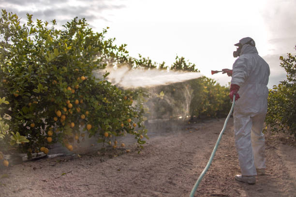 Wildlife Control Services in Riverview, MI
