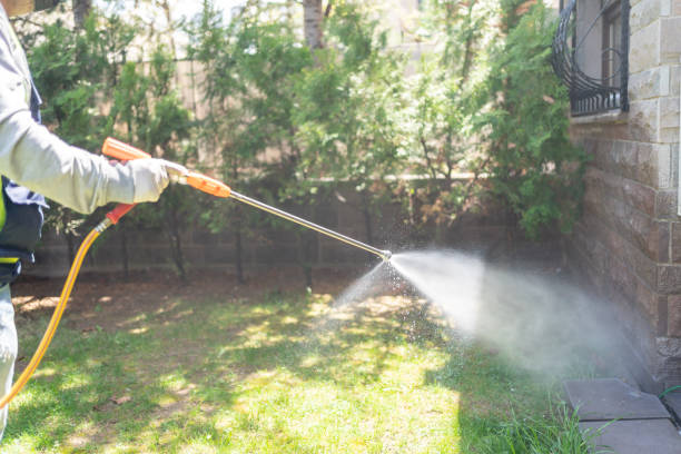 Best Mosquito Control Services  in Riverview, MI
