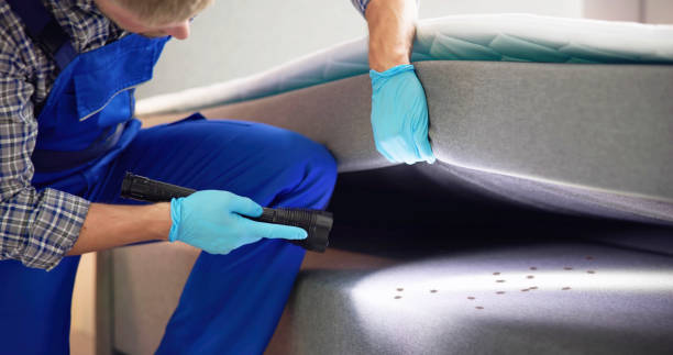 Best Best Pest Control Companies  in Riverview, MI