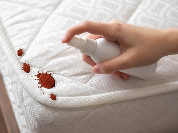 Best Residential Pest Control  in Riverview, MI