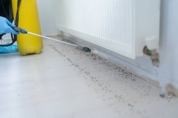 Best Exterminator Services  in Riverview, MI