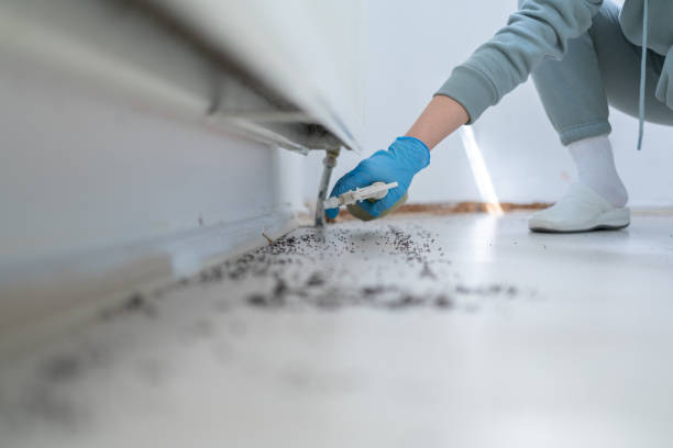 Best Local Pest Control Services  in Riverview, MI